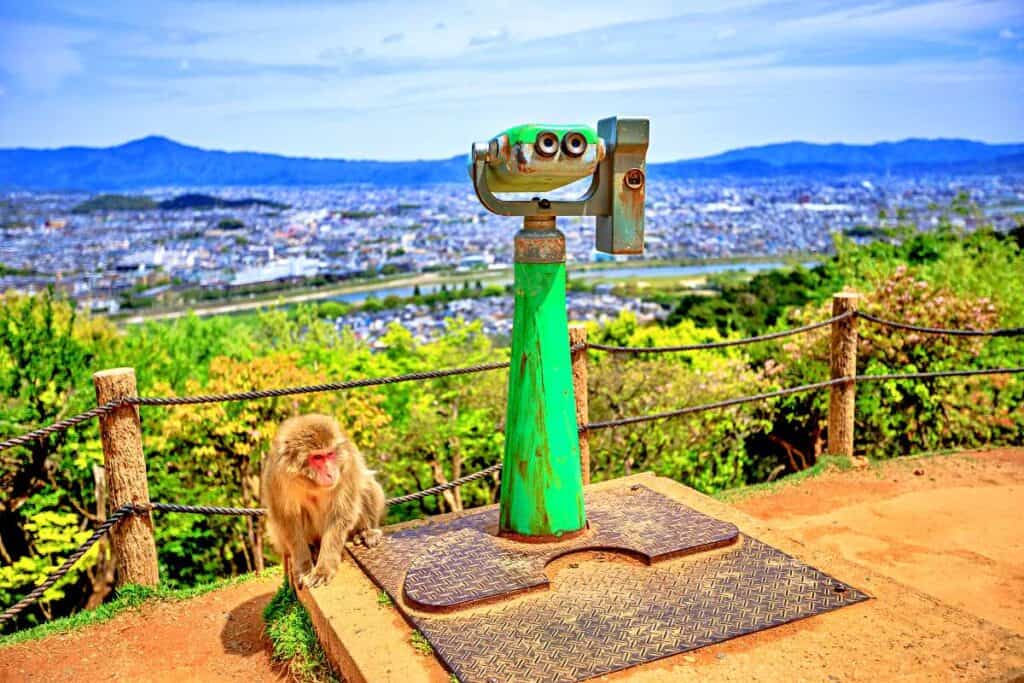 View over Kyoto from the Iwatayama Monkey Park in Arashiyama, Japan