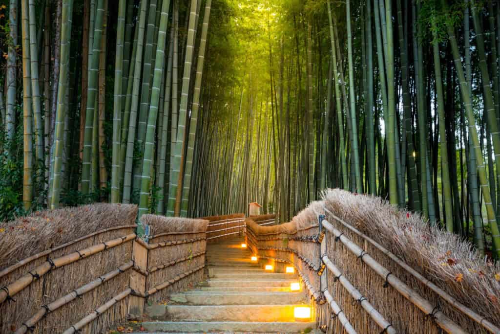 Arashiyama Bamboo Grove in Kyoto, Japan