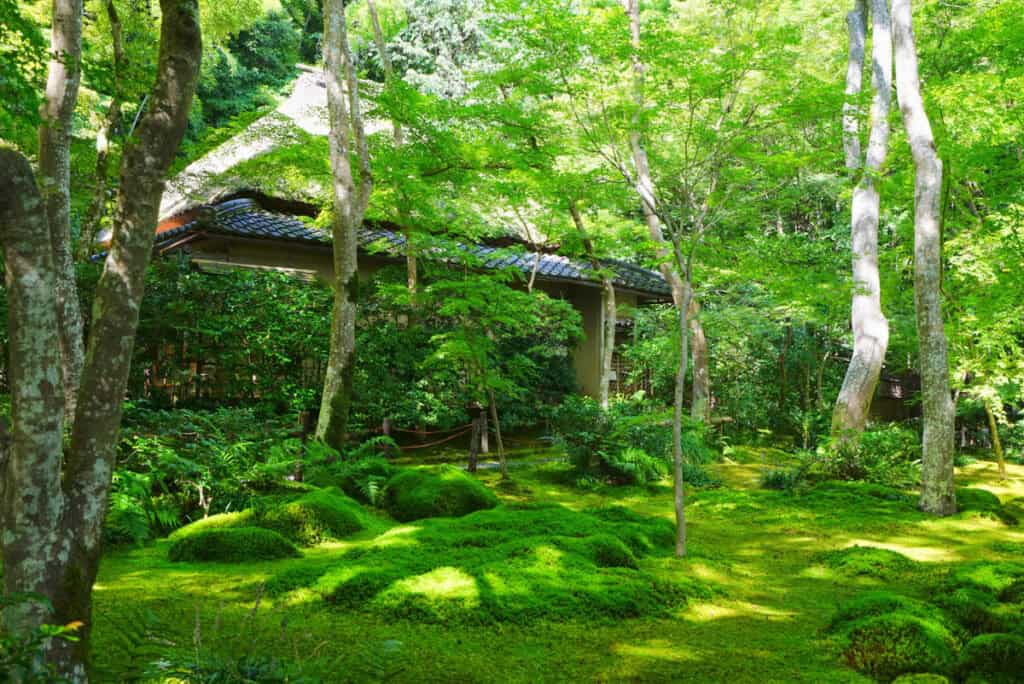 The grounds of Gio-ji Temple in Sagano, Japan, are covered in green moss